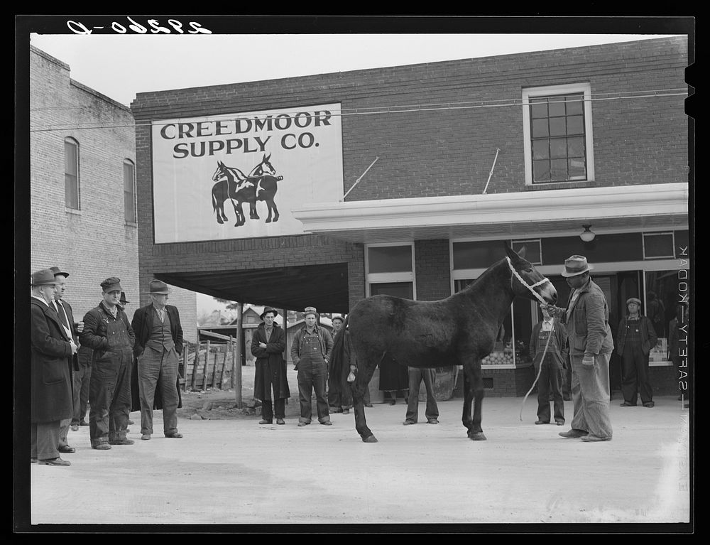 Mule auction in main street. Creedmoor, North Carolina. Sourced from the Library of Congress.