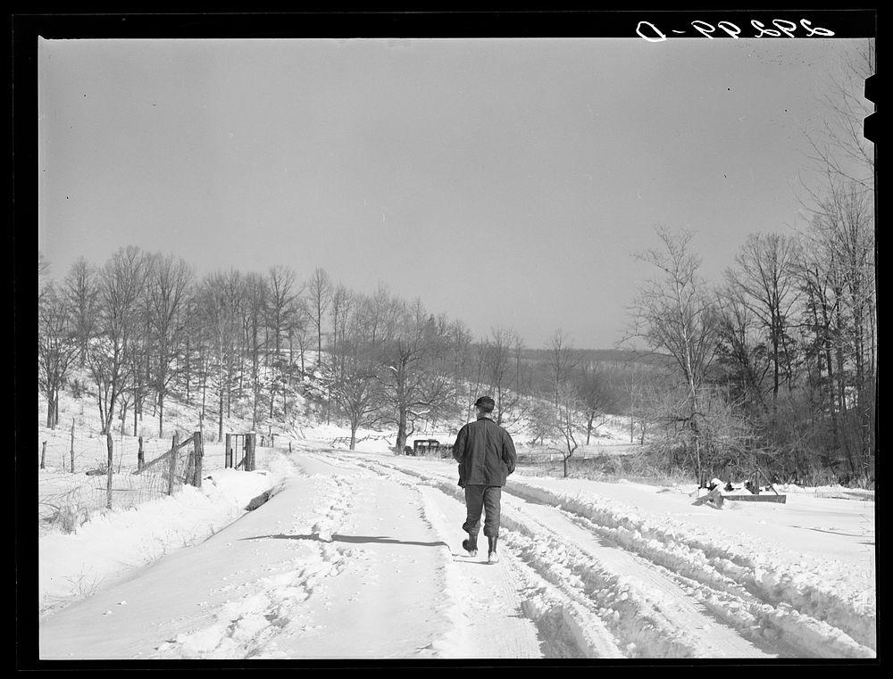 Rural road in southwestern Ross County, Ohio. Sourced from the Library of Congress.