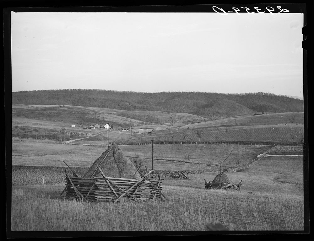 Haystacks. Mineral County, West Virginia | Free Photo - rawpixel
