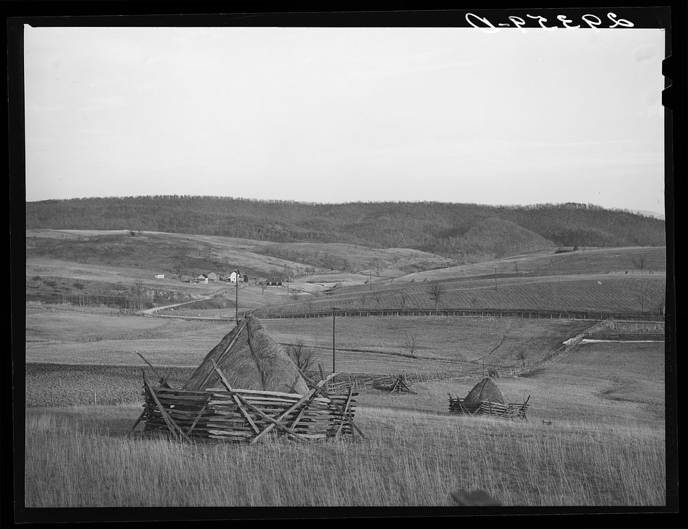 Haystacks. Mineral County, West Virginia. Sourced from the Library of Congress.