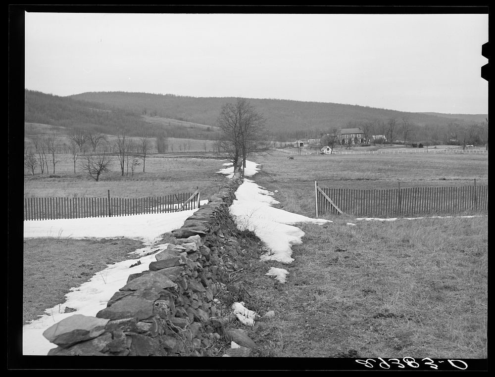 Farm. Frederick County, Virginia. Sourced from the Library of Congress.
