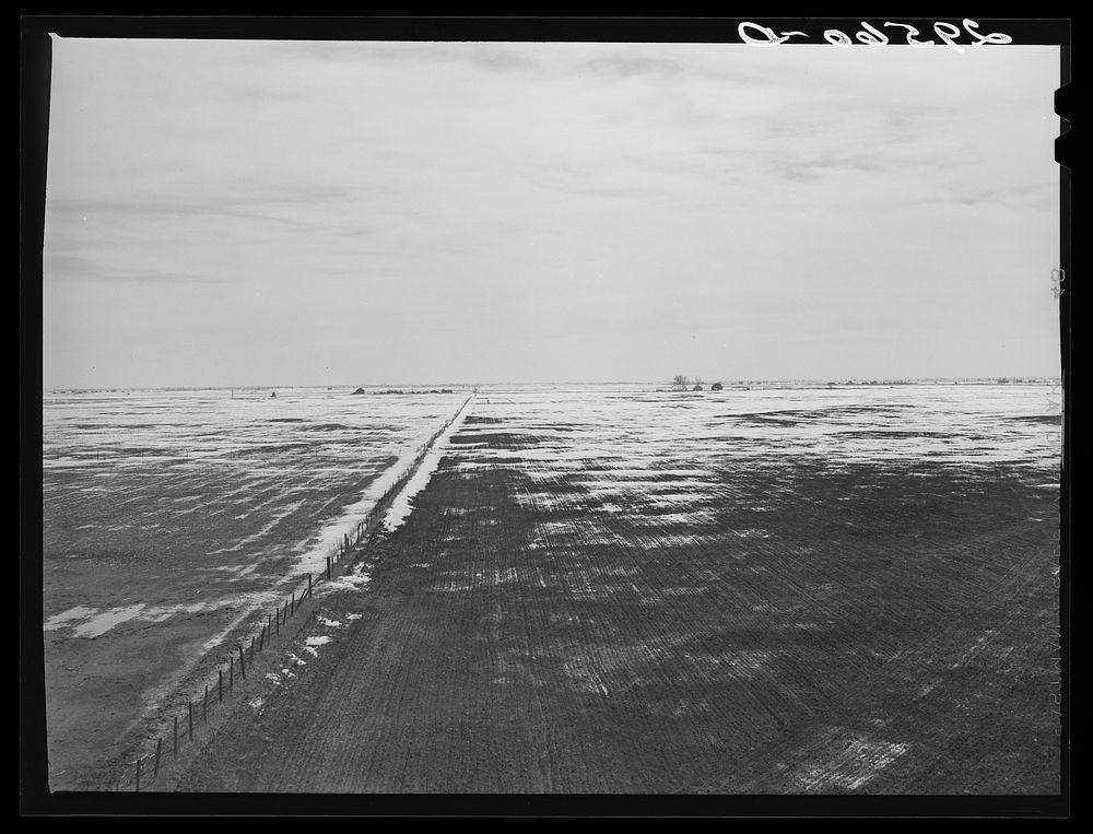 [Untitled photo, possibly related to: Snow melting on fields. Hayes County, Nebraska]. Sourced from the Library of Congress.