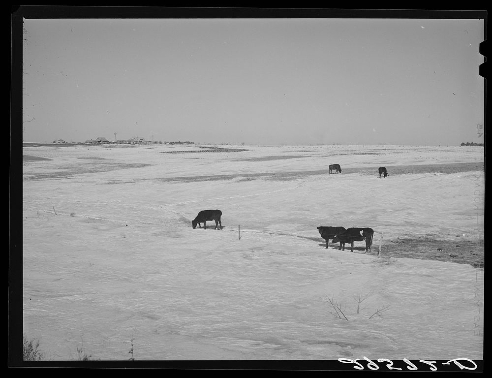 Farm. Hayes County, Nebraska. Sourced from the Library of Congress.
