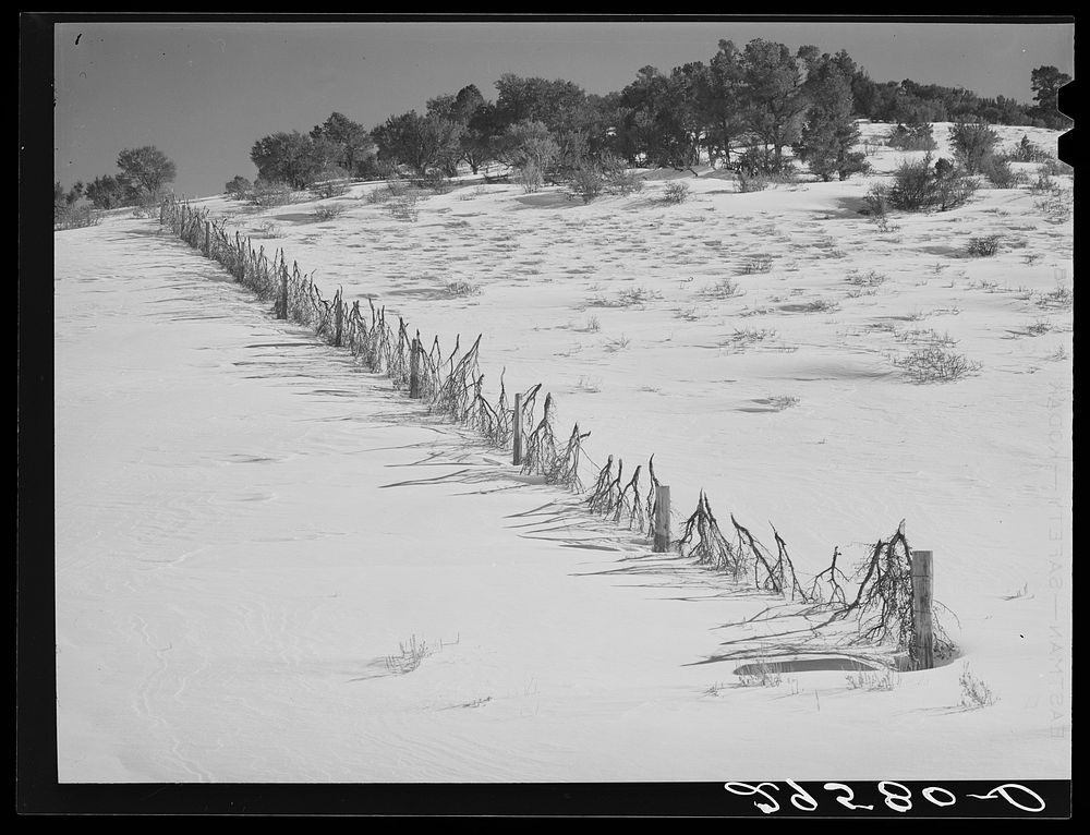 Snow fence. Summit County, Utah. Sourced from the Library of Congress.
