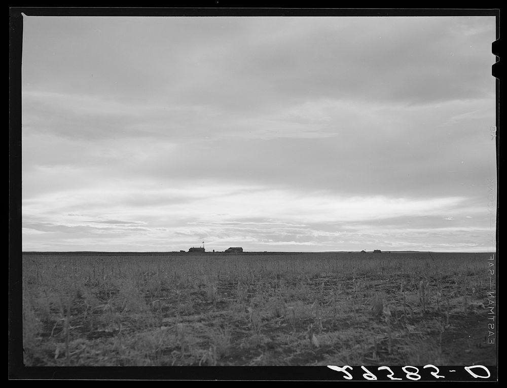 [Untitled photo, possibly related to: Sunset near Imperial, Nebraska]. Sourced from the Library of Congress.