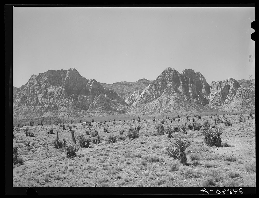 Approach to Pine Creek Canyon. Clark County, Nevada. Sourced from the Library of Congress.