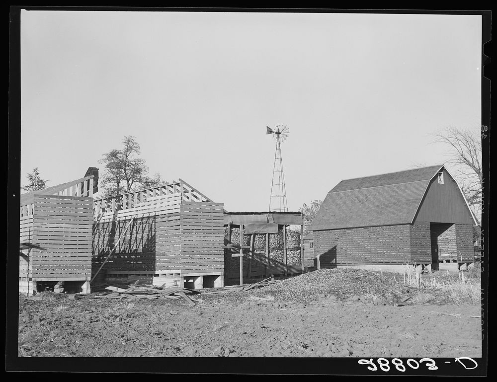 Three types of corncribs. Grundy County, Iowa. Sourced from the Library of Congress.