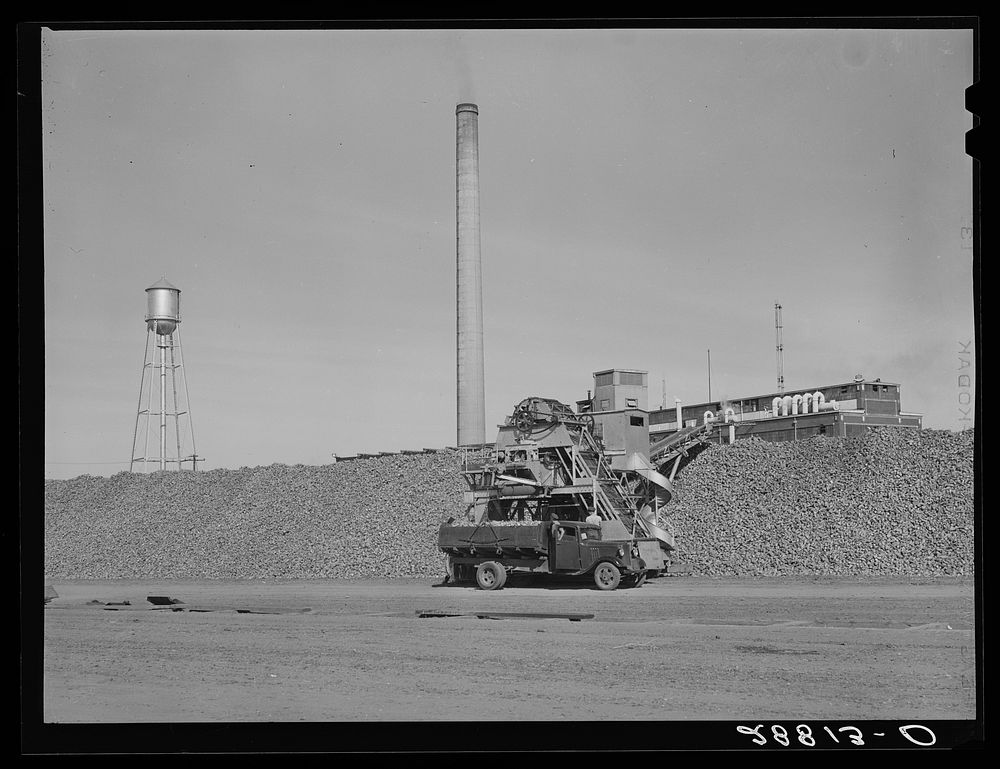 Sugar beet factory. Brighton, Colorado. Sourced from the Library of Congress.