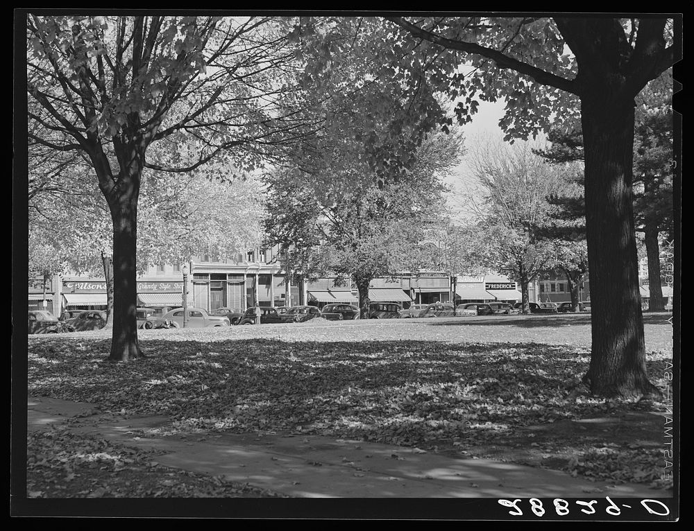 Autumn leaves courthouse lawn. Grundy Free Photo rawpixel