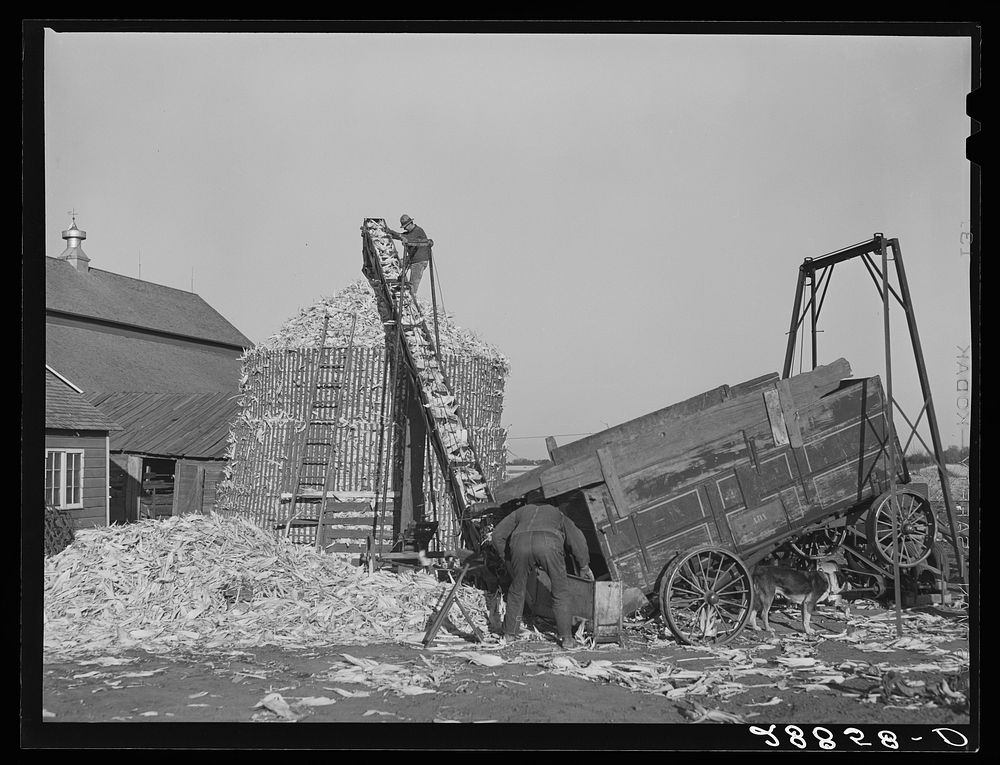 Storing corn temporary crib. Grundy Free Photo rawpixel