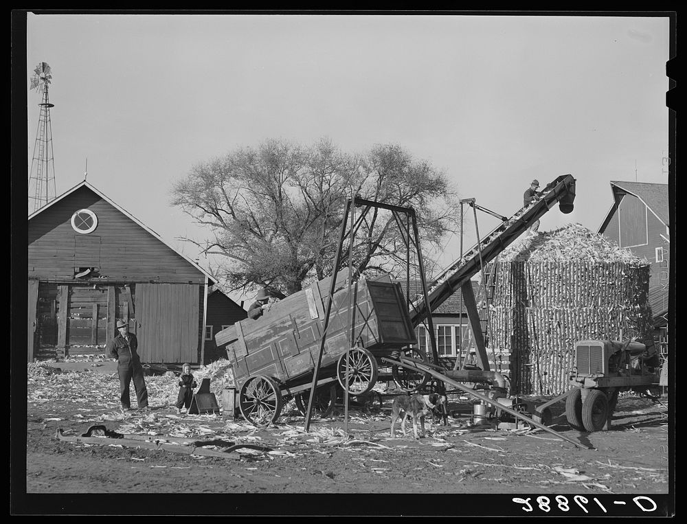 [Untitled photo, possibly related to: Storing corn during harvest. Grundy County, Iowa]. Sourced from the Library of…