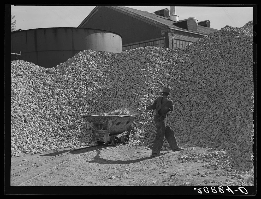 Limestone used in purification of sugar obtained from beet. Brighton, Colorado. Sourced from the Library of Congress.