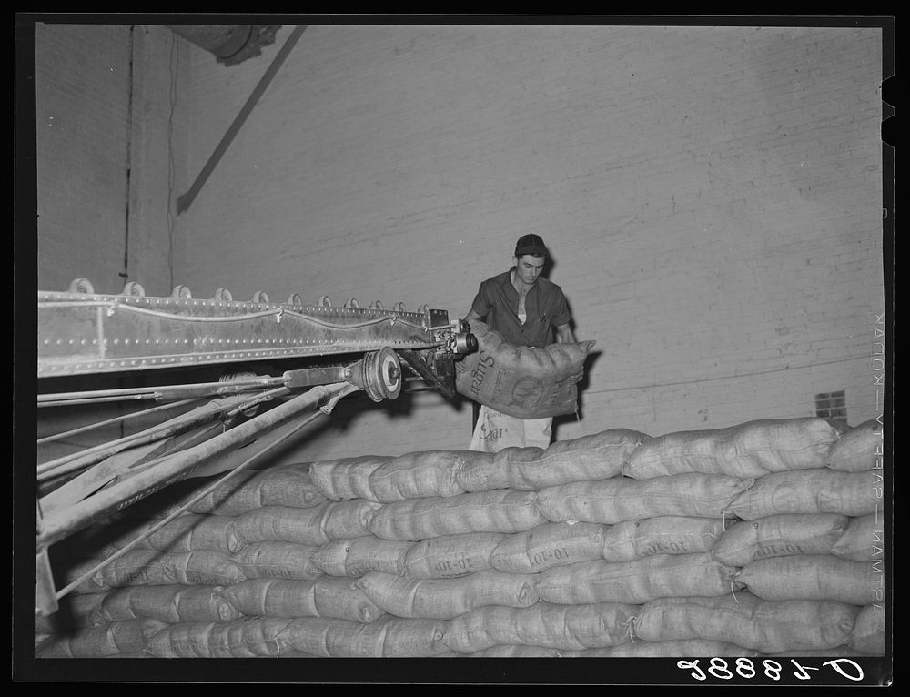Storing bags of sugar at beet factory. Brighton, Colorado. Sourced from the Library of Congress.