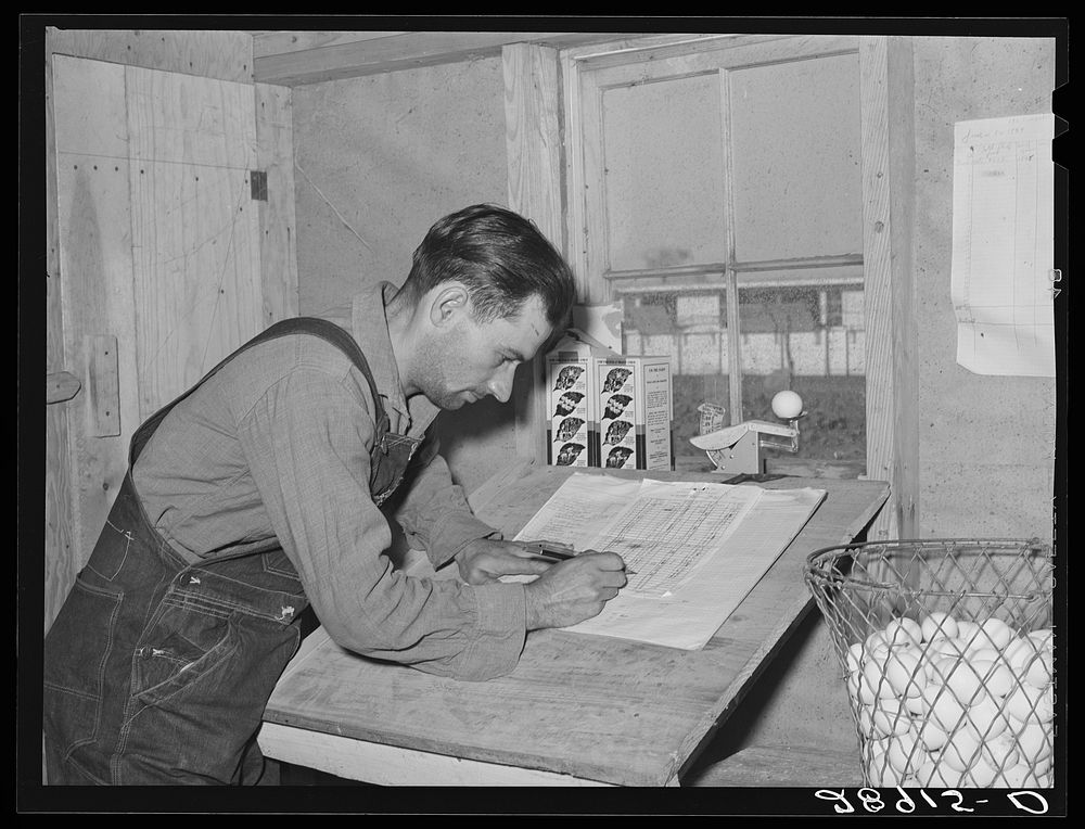 Careful records are kept of egg production. Hillview Cooperative. Osage Farms, Missouri. Sourced from the Library of…
