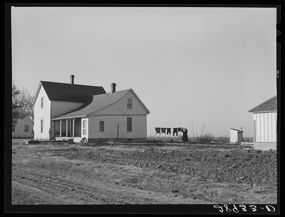 Home of member of Bois d'Arc cooperative who takes care of beef cattle. Osage Farms, Missouri. Sourced from the Library of…