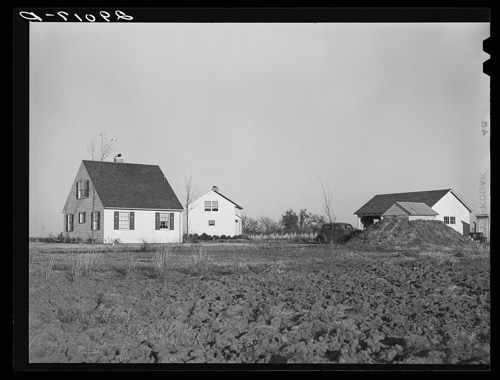 Houses at the Bois d'Arc Cooperative farm. Osage Farms, Missouri. Sourced from the Library of Congress.