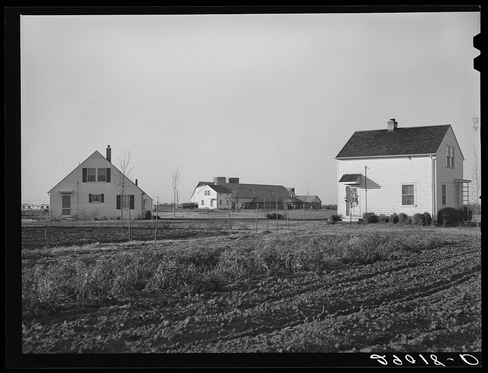 [Untitled photo, possibly related to: Group of homes located near the dairy farms on Bois d'Arc Cooperative farm. The same…