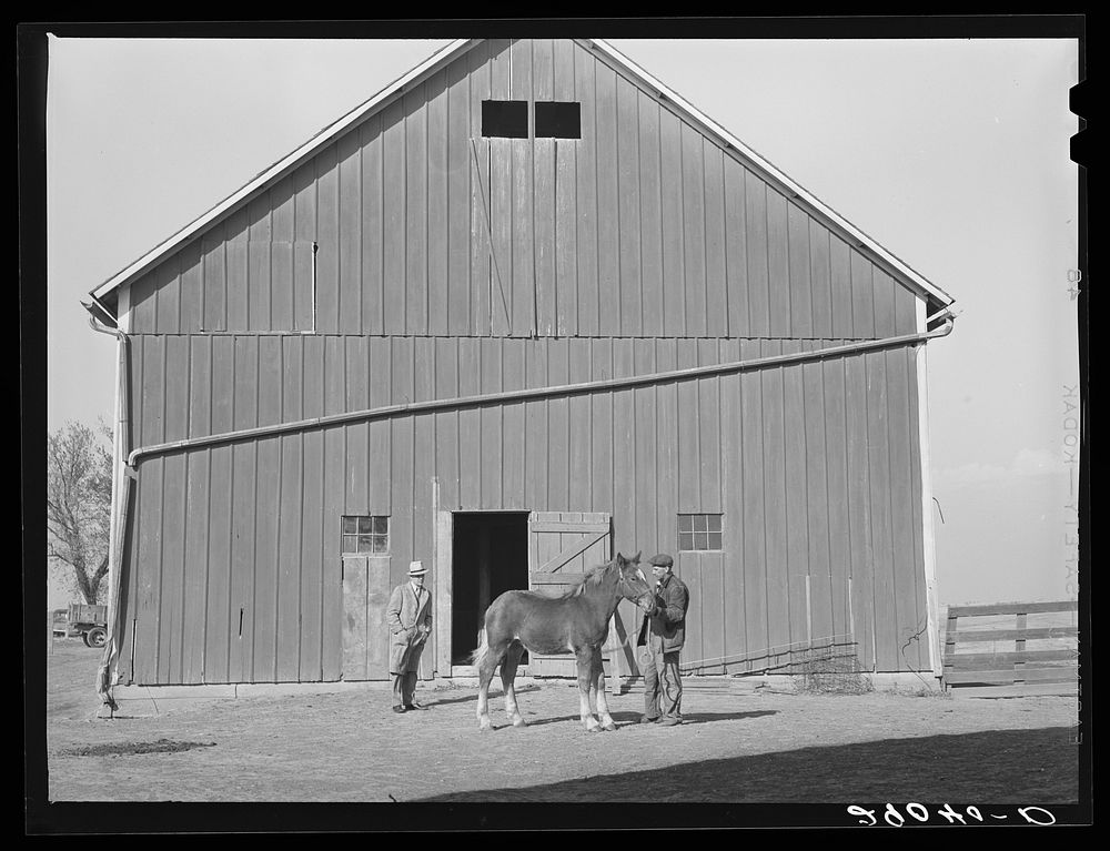 His TP loan helped Fred Maschman place all the buildings on his new farm in good repair. Iowa County, Iowa. Sourced from the…