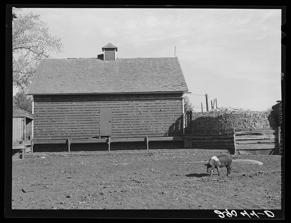 Corn cribs. Fred Goecke's farm. Marshall County, Iowa. Sourced from the Library of Congress.