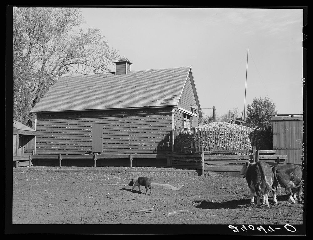 [Untitled photo, possibly related to: Corncrib on Fred Goecke's farm. Marshall County, Iowa]. Sourced from the Library of…