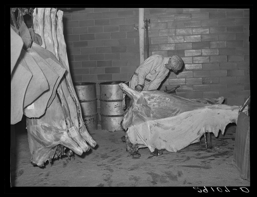 Skinning a beef carcass. Packing plant, Scotts Bluff, Nebraska. Sourced from the Library of Congress.