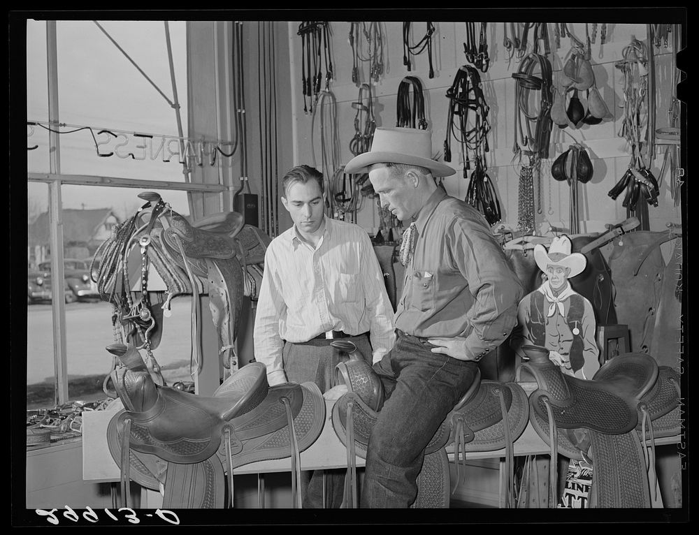 Cowhand trying saddle. Saddlery, Elko, Nevada. Sourced from the Library of Congress.