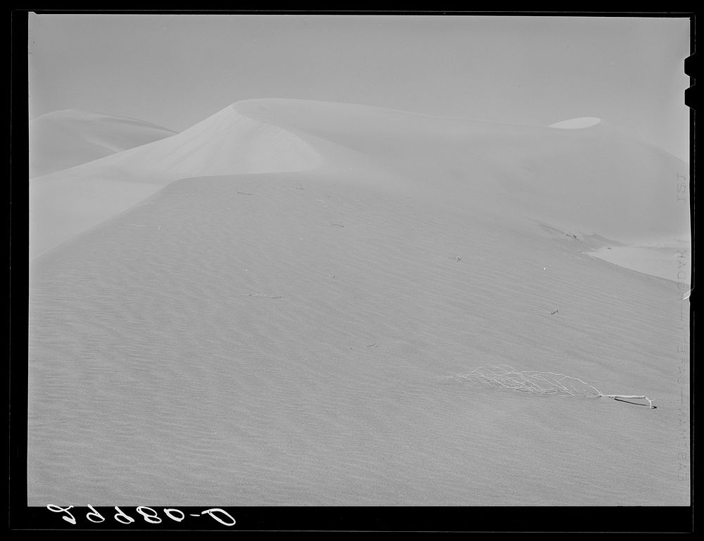 Sand dune. Nye County, Nevada. Sourced from the Library of Congress.