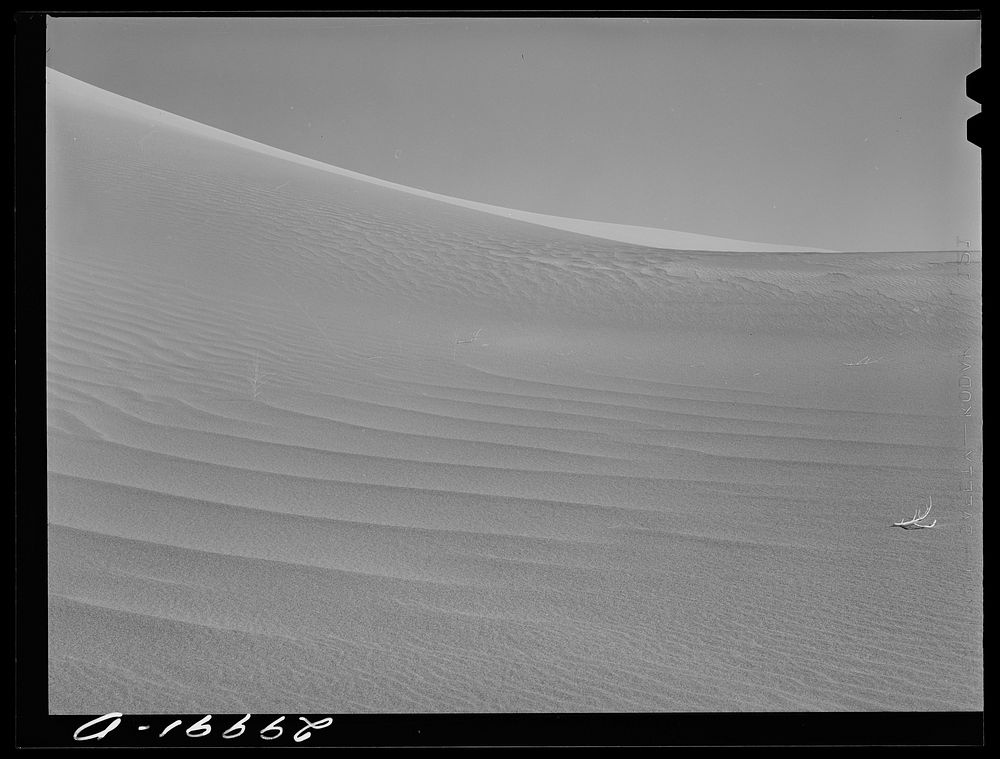Sand dune. Nye County, Nevada. Sourced from the Library of Congress.