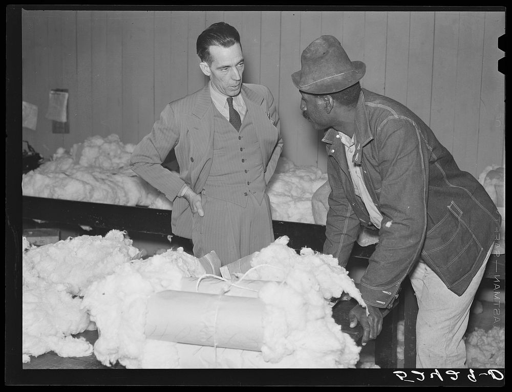  farmer who has brought his cotton samples to town discusses price with cotton buyer. Clarksdale, Mississippi Delta…