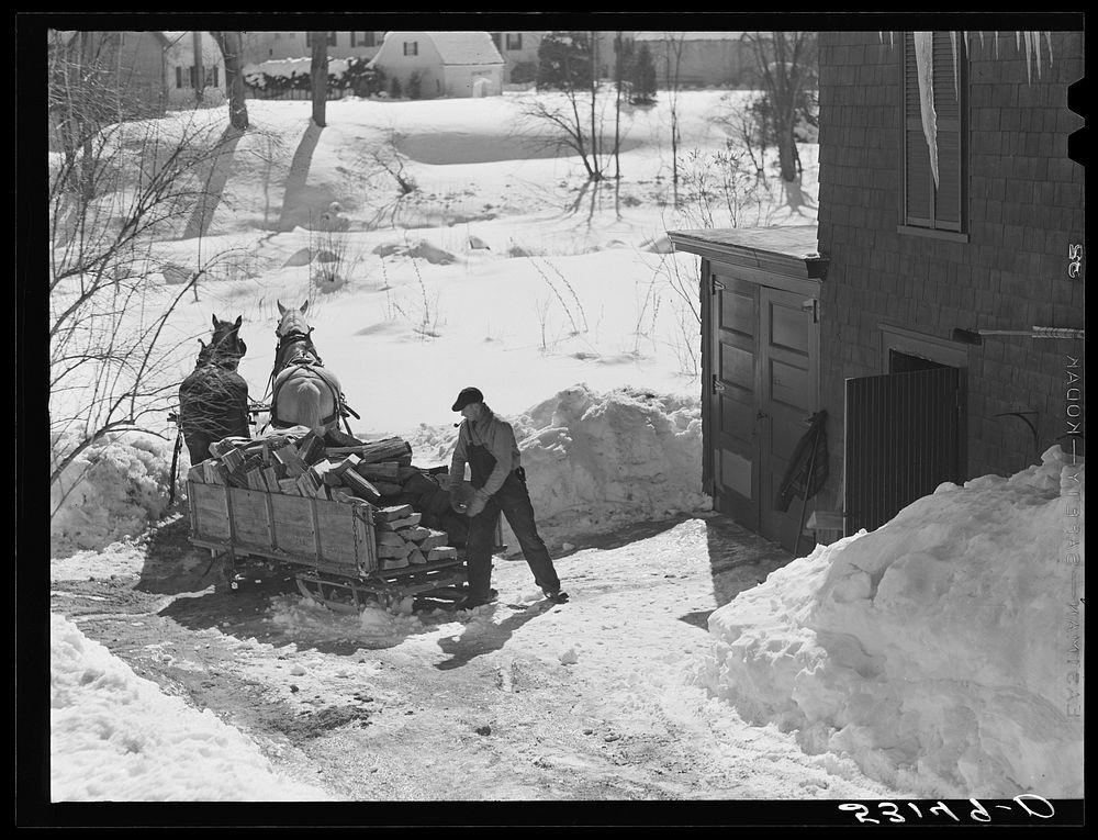 Unloading stove wood from sled woodshed. Woodstock, Vermont. Sourced from the Library of Congress.