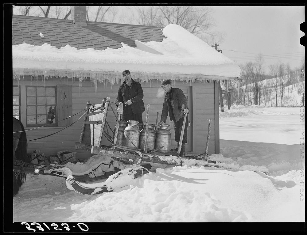 [Untitled photo, possibly related to: Hauling water in milk cans after pipes have frozen. Clinton Gilbert's farm, Woodstock…