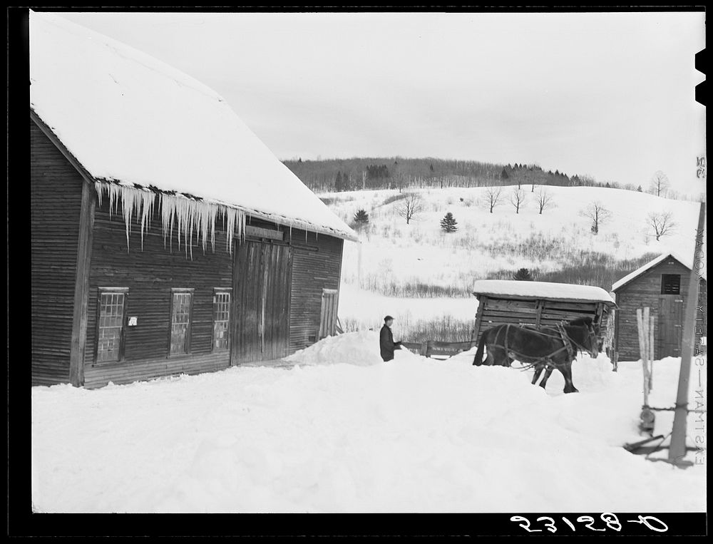 [Untitled photo, possibly related to: Hauling water in milk cans after pipes have frozen. Putney farm, Woodstock, Vermont].…