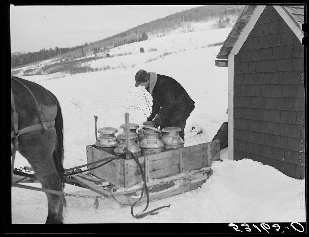 [Untitled photo, possibly related to: Hauling water in milk cans after pipes have frozen. Putney farm, Woodstock, Vermont].…