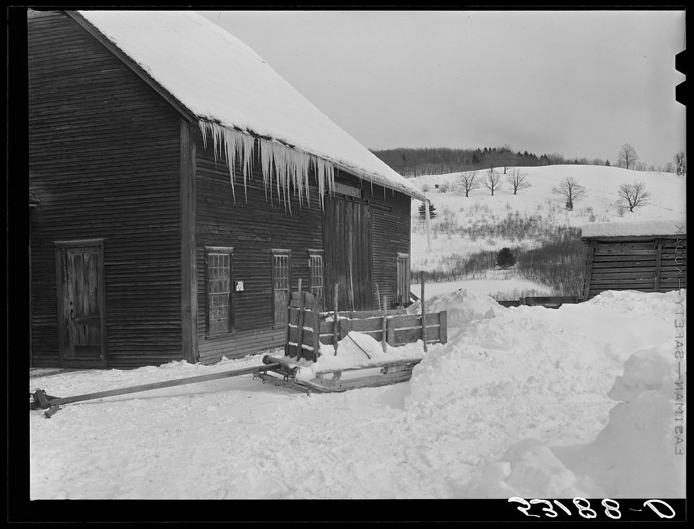 [Untitled photo, possibly related to: Clearing deep snow out of front barnyard so that if a sudden thaw comes, the cellar…