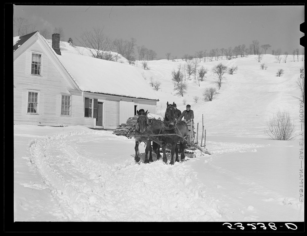 [Untitled photo, possibly related to: Clinton Gilbert, farmer, and his helper hauling water in milk cans on sled, as their…