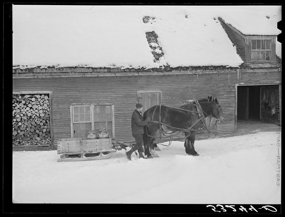 [Untitled photo, possibly related to: Hauling water in milk cans and sled to Putney farm. All other sources of water supply…