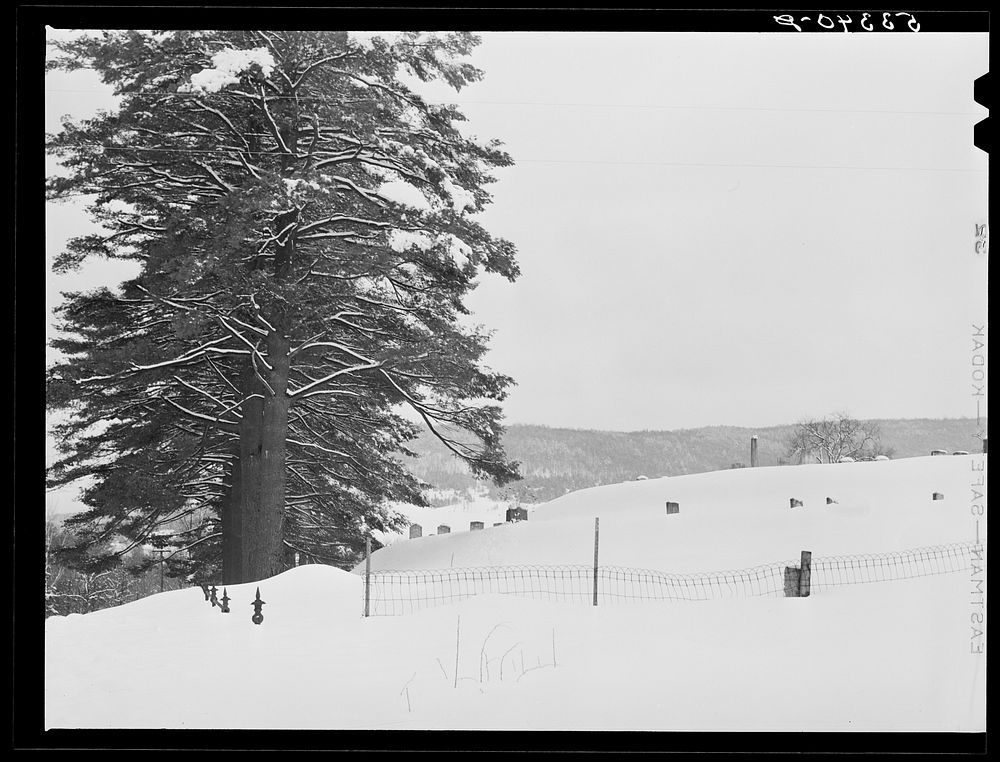 Country graveyard near Taftsville. Windsor County, Vermont. Sourced from the Library of Congress.