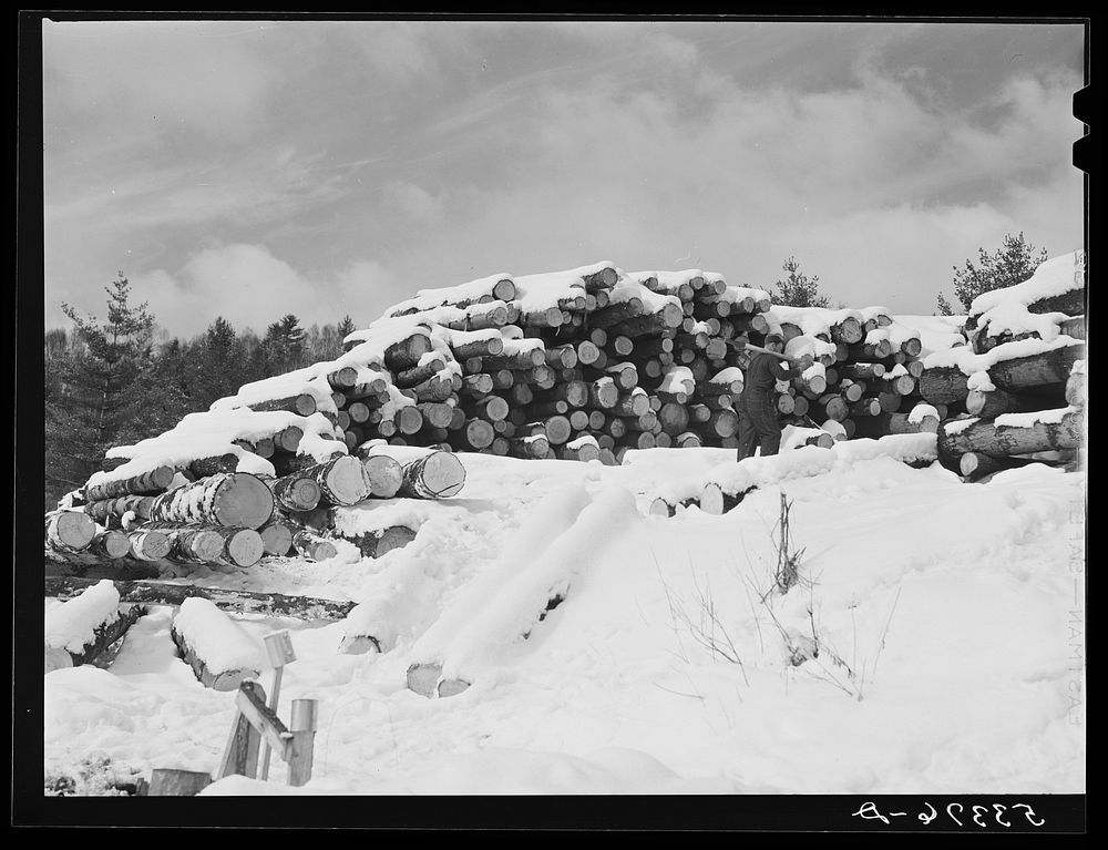 Logs leveled by 1938 hurricane piled near sawmill near Warren, New Hampshire. Sourced from the Library of Congress.