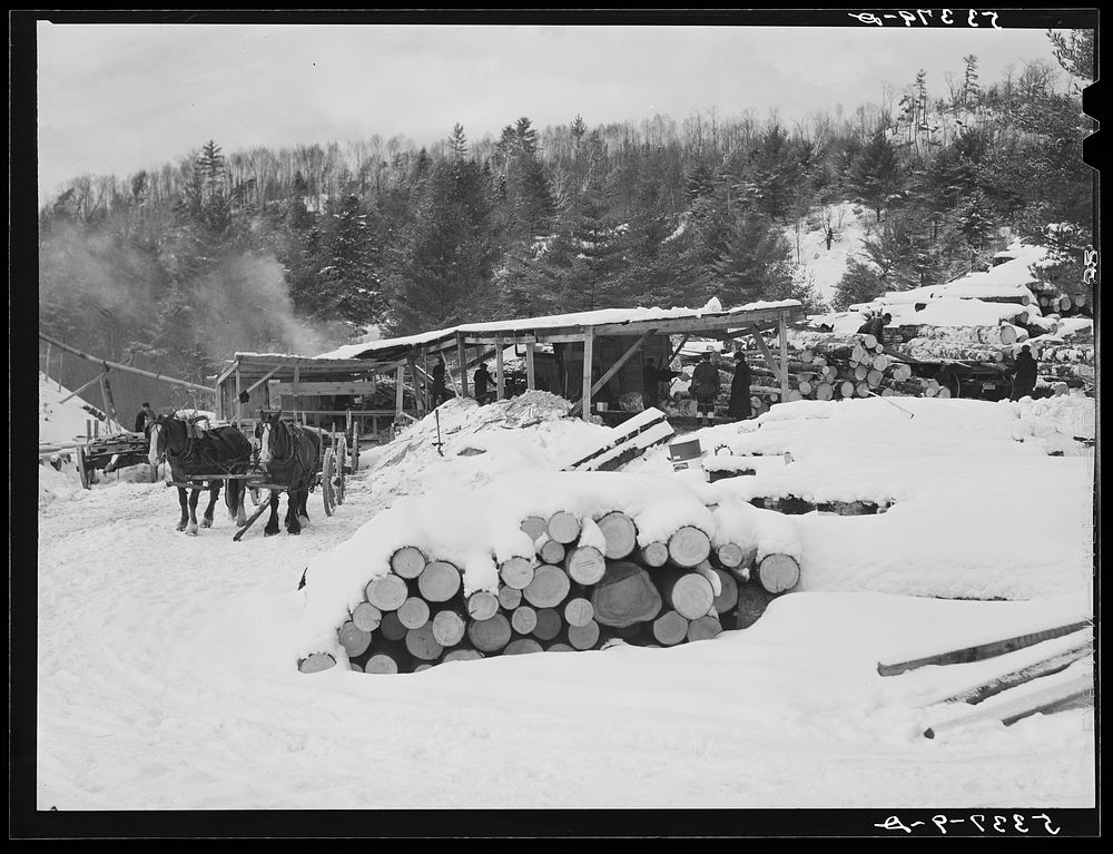 [Untitled photo, possibly related to: Logs leveled by 1938 hurricane piled at sawmill near Warren, New Hampshire]. Sourced…