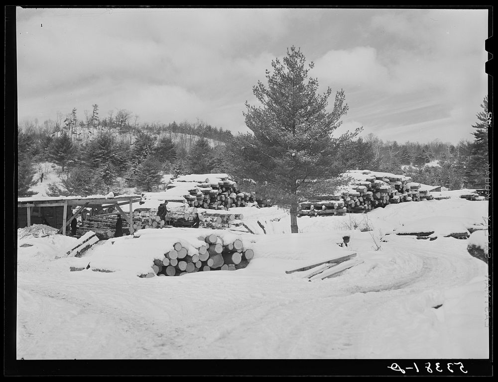 Logs leveled by 1938 hurricane piled at sawmill near Warren, New Hampshire. Sourced from the Library of Congress.