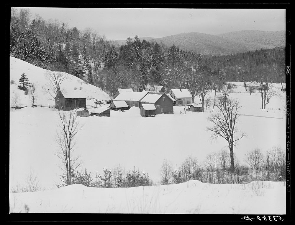 [Untitled photo, possibly related to: Fields and poor farms on stormy winter day near Taftsville. Windsor County, Vermont].…