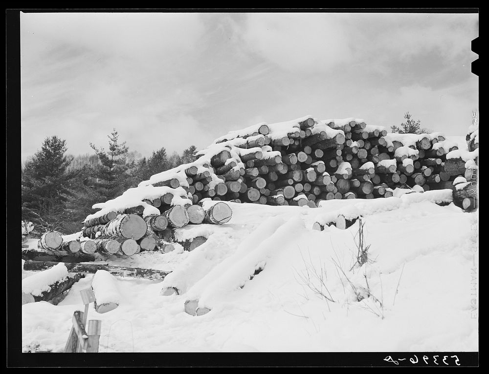 [Untitled photo, possibly related to: Timber leveled by the 1938 hurricane piled at a saw mill just outside of Warren, New…