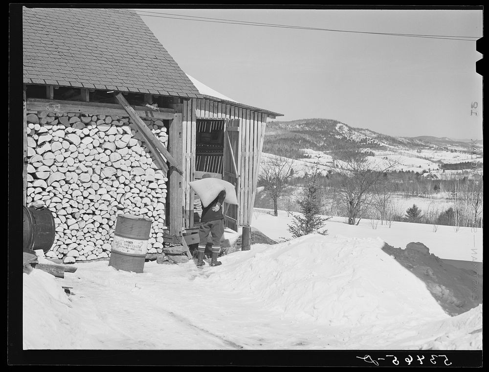 Mr. Dickerson carrying sack of feed into shed on his farm. Lisbon, near Franconia, New Hampshire. Sourced from the Library…