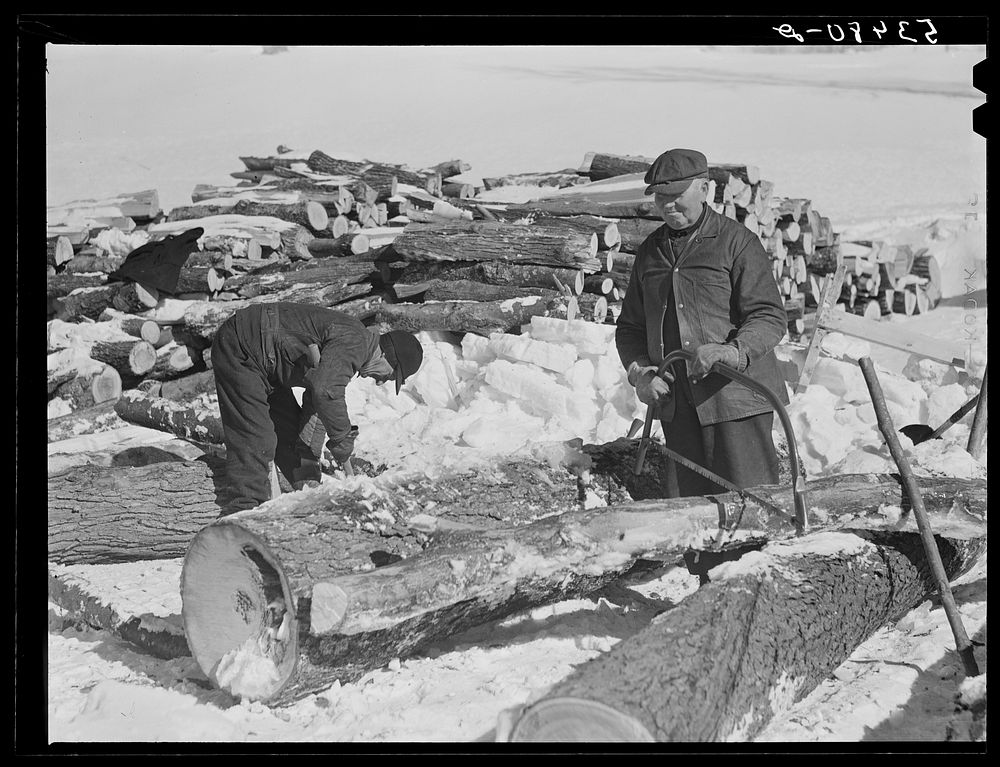 Farmers sawing wood for winter fuel. Near Littleton, New Hampshire. Sourced from the Library of Congress.
