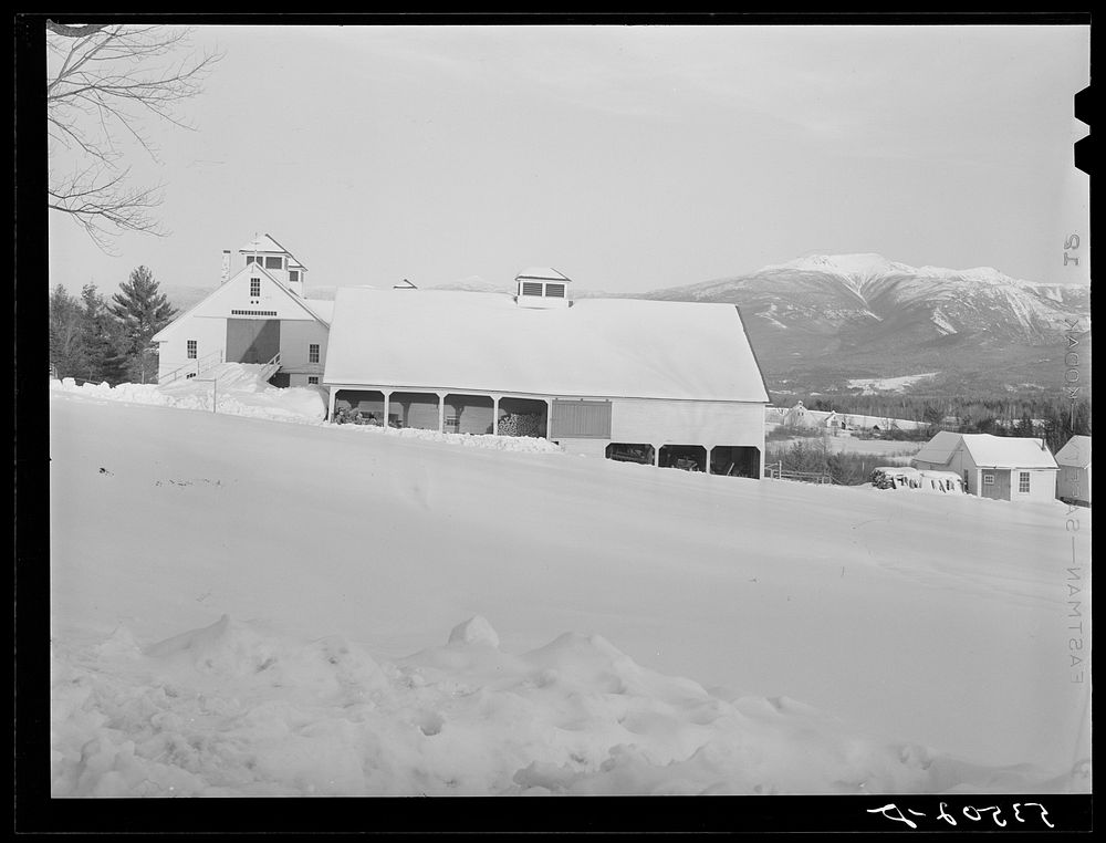 Barns on Mononts Farm. Sugar Hill, near Franconia, New Hampshire. Sourced from the Library of Congress.