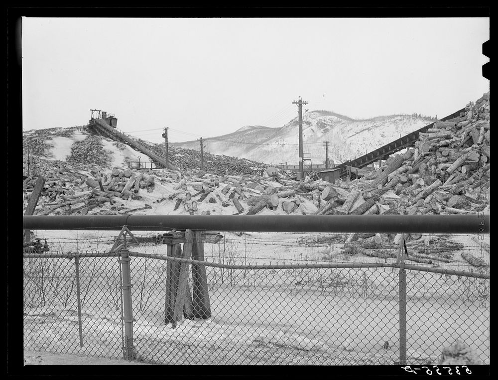Wood at paper mill. Berlin, New Hampshire. Sourced from the Library of Congress.