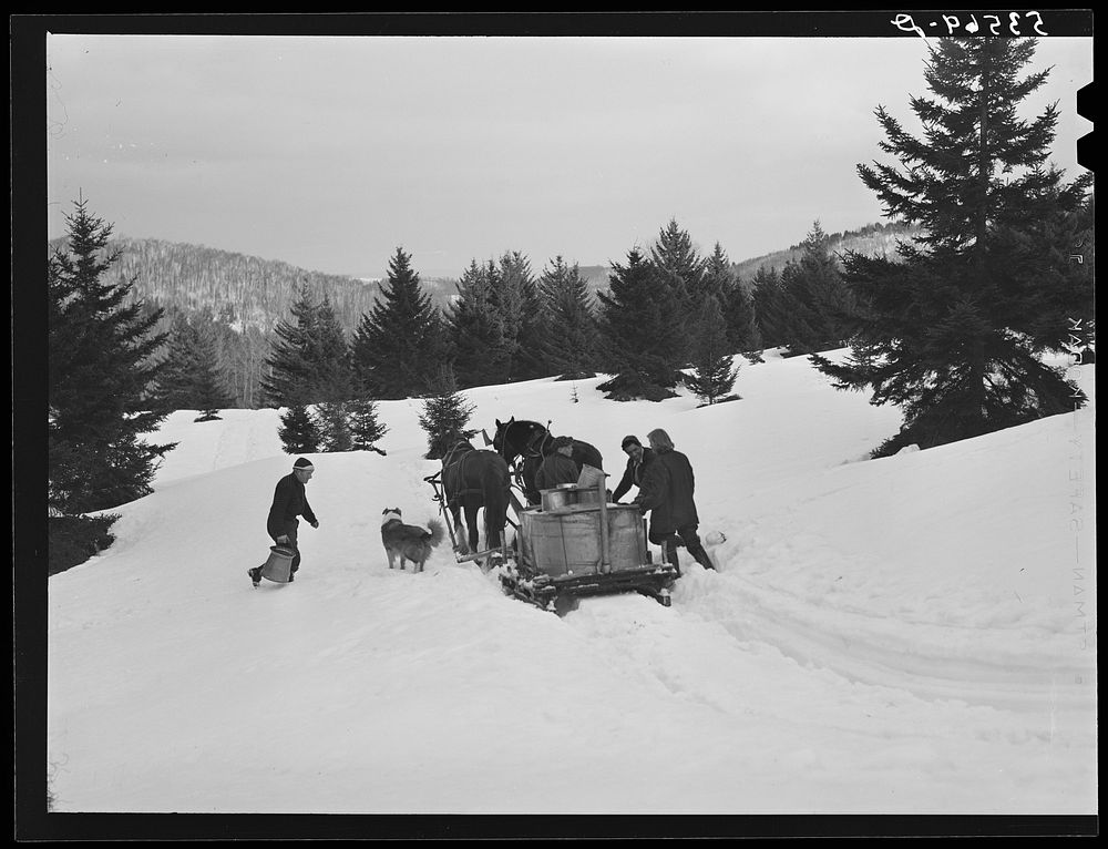 Horse-drawn sled with vat of sap from maple sugar trees, which is boiled down to maple syrup. Frank Shurtleff farm, North…