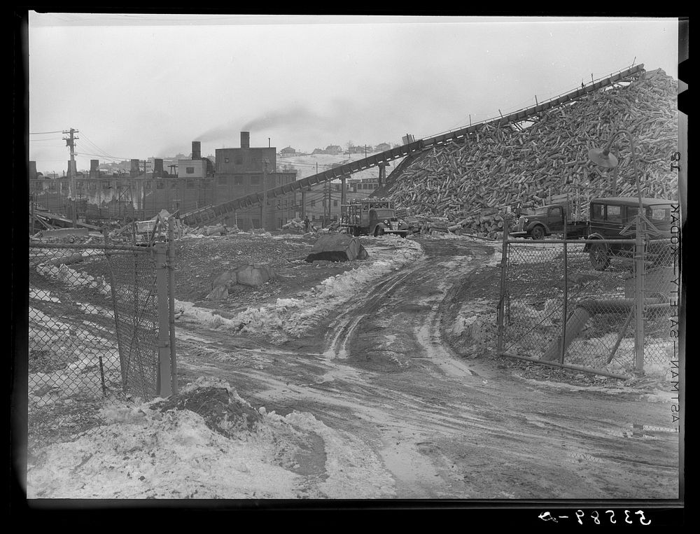 Pulp wood at paper mill. Berlin, New Hampshire. Sourced from the Library of Congress.