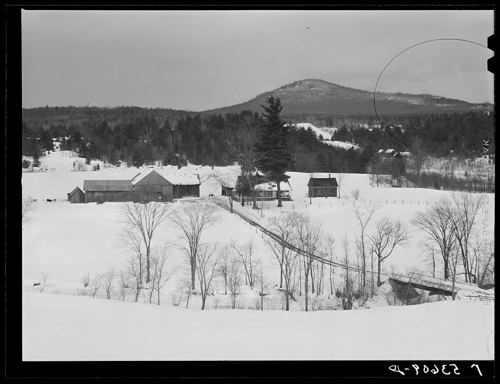 [Untitled photo, possibly related to: Farmhouse and milk cans near Saint Johnsbury, Vermont]. Sourced from the Library of…