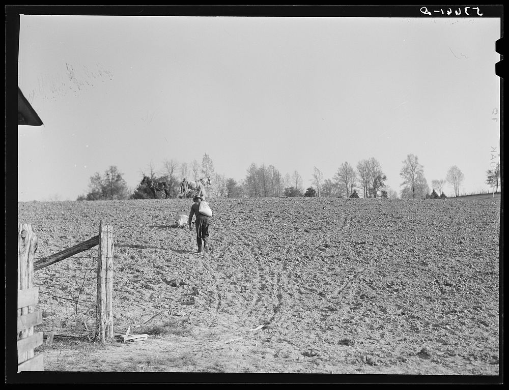 Spring planting, Shenandoah Valley, Virginia. Sourced from the Library of Congress.